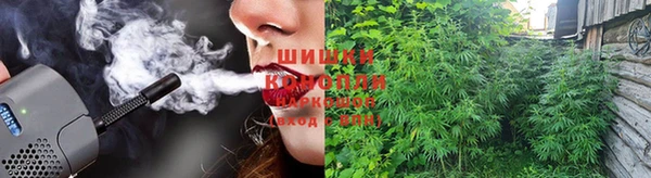 молекула духа Липки