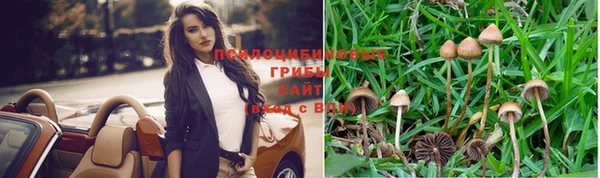 jwh Лиски