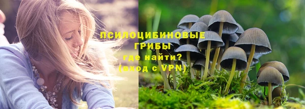 молекула духа Липки