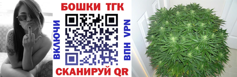 Каннабис OG Kush  Мыски 